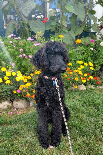 Winery «Hosmer Winery», reviews and photos, 7020 NY-89, Ovid, NY 14521, USA