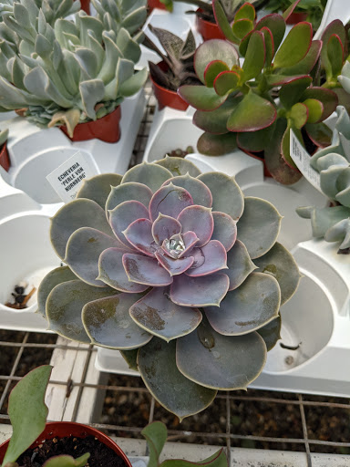 Greenhouse «Stony Hill Gardens», reviews and photos, 8 NJ-24, Chester, NJ 07930, USA