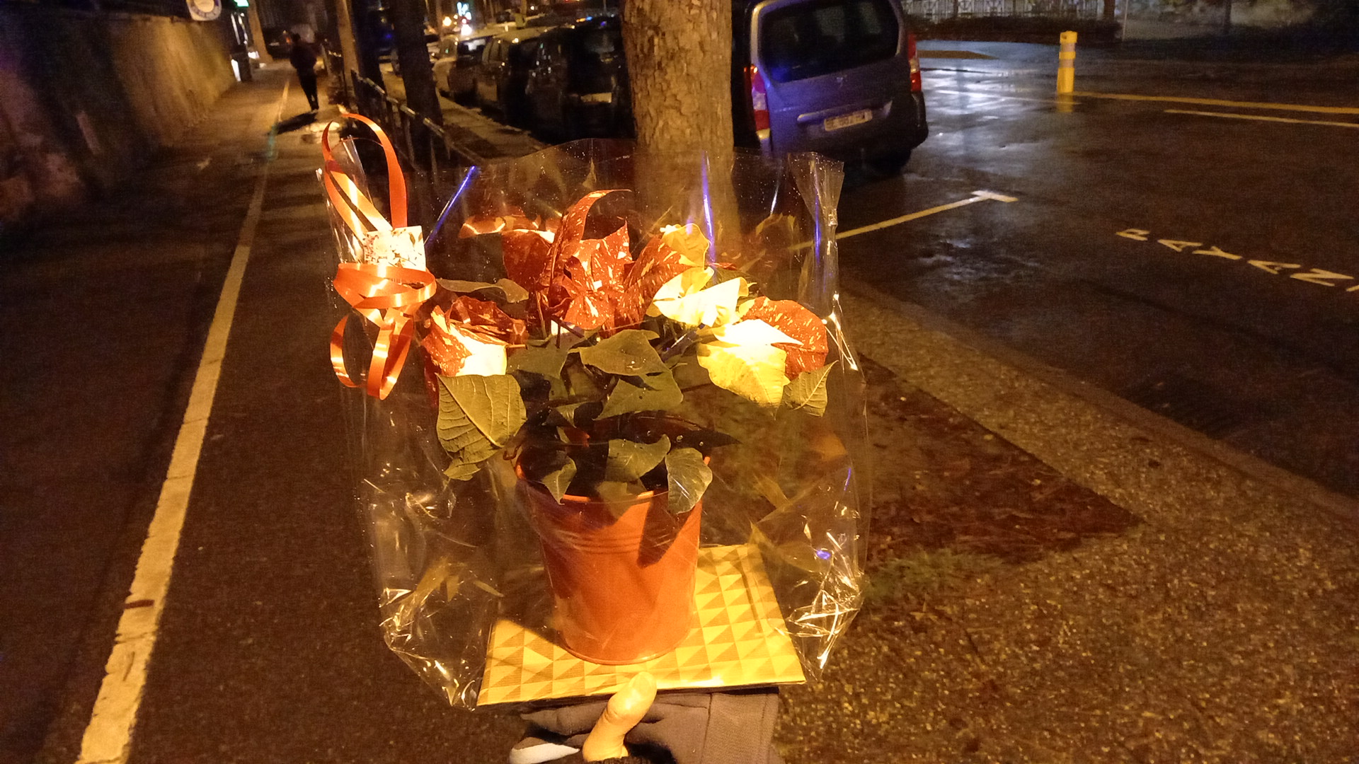 Photo n° 1 de l'avis de Pauline.r fait le 01/12/2020 à 17:42