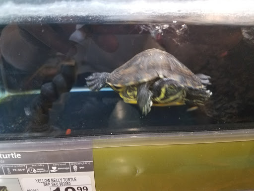 Pet Supply Store «Petco Animal Supplies», reviews and photos, 35860 Chester Rd, Avon, OH 44011, USA