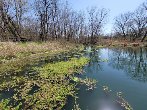 Nature Preserve «Heard Natural Science Museum & Wildlife Sanctuary», reviews and photos, 1 Nature Pl, McKinney, TX 75069, USA