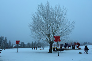 École Lakeview School