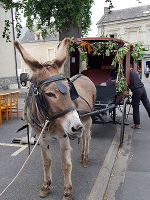 Saumureau Didier à Brain-sur-Allonnes