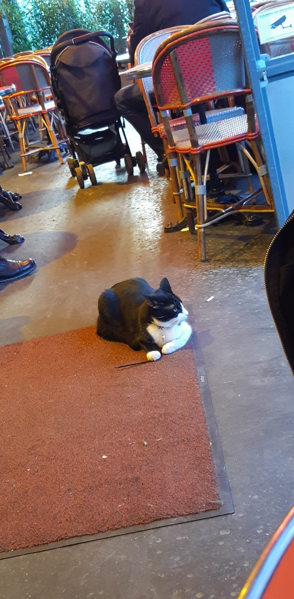 Photo n° 2 de l'avis de sonia.h fait le 31/12/2019 à 10:00