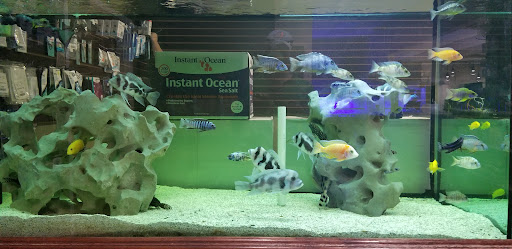 Tropical Fish Store «Austin Aqua-Dome», reviews and photos, 1604 Fortview Rd, Austin, TX 78704, USA