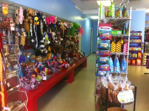 Pet Supply Store «General Store For Pets», reviews and photos, 204 US-1, Falmouth, ME 04105, USA