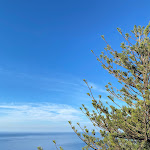 Photo n°7 de l'avis de Pierpaolo.e fait le 22/10/2022 à 17:31 sur le  Grand Hotel San Michele à Cetraro