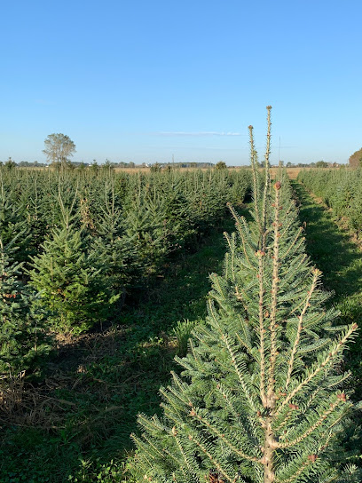 Bastien Christmas Tree Farm