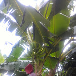 Photo n°6 de l'avis de ErikaPatrizia.e fait le 25/08/2018 à 22:03 sur le  La Bussola Hotel à Capo Vaticano