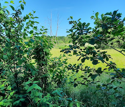 Lübarser Felder photo
