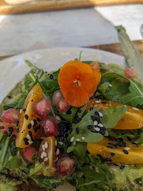 Avocado toast du Restaurant végétalien Bali Bowls Nîmes à Nîmes - n°10