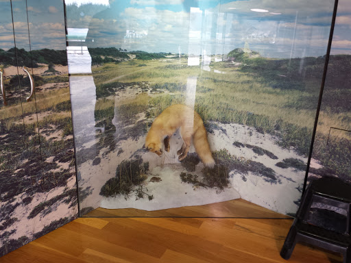 Natural History Museum «South Fork Natural History Museum & Nature Center», reviews and photos, 377 Bridgehampton-Sag Harbor Turnpike, Bridgehampton, NY 11932, USA