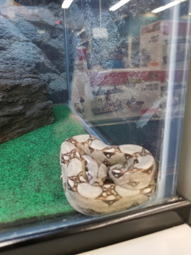 Pet Supply Store «Petco Animal Supplies», reviews and photos, 1680 Campbell Ln, Bowling Green, KY 42104, USA