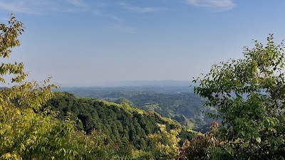 環境の森林展望台