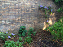 Lothrop's Landscape - Photo 6 - Car repair in , Mesquite