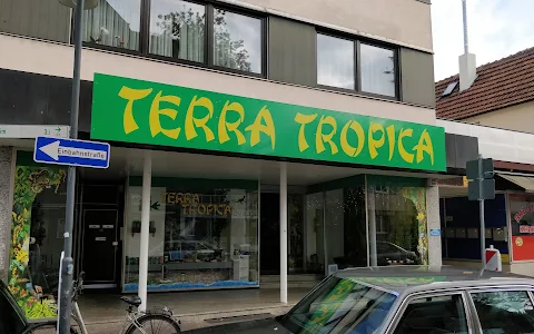 Terra Tropica UG image