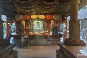 Shankar Narayan Temple image