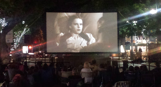 Pro Outdoor Movies Turnkey Events. Rentals and Sales Since 2006. image