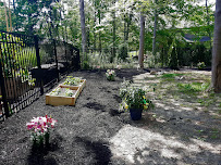 Picture Perfect Lawn & Landscaping - Photo 6 - Car repair in Fishers, IN, Indianapolis