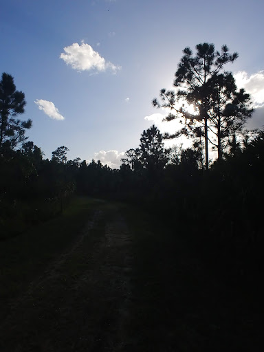 Community Center «Max K. Rodes Community Center», reviews and photos, 3410 Flanagan Ave, West Melbourne, FL 32904, USA