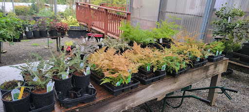 Florist «Milwaukie Floral and Garden», reviews and photos, 3306 SE Lake Rd, Milwaukie, OR 97222, USA