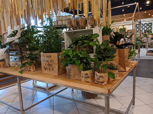 Shopping Mall «Shops At Dos Lagos», reviews and photos, 2780 Cabot Dr #140, Corona, CA 92883, USA