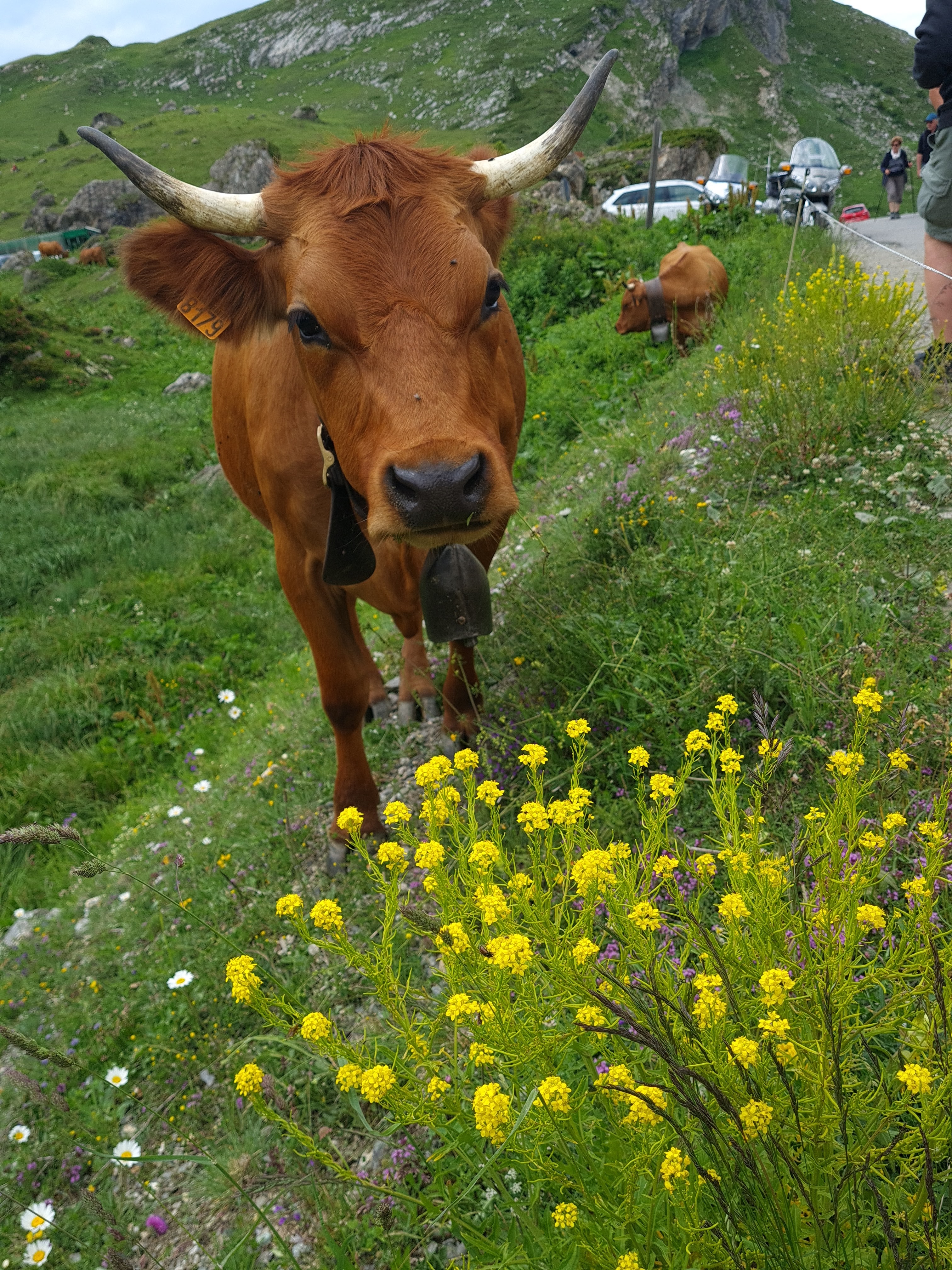 Photo n° 19 de l'avis de murielle.a fait le 08/07/2021 à 15:37