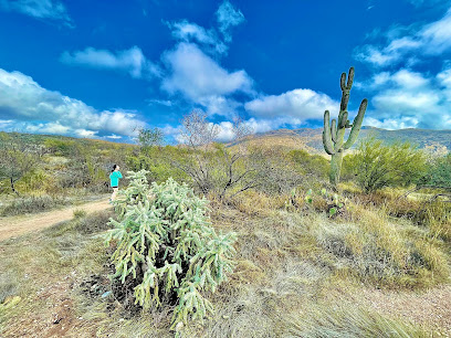 Cactus Forest Trail
