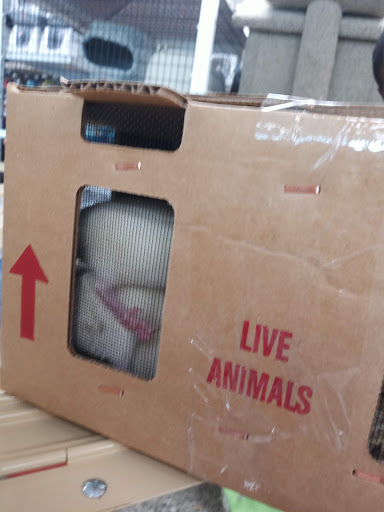 Pet Supply Store «Pet Supermarket», reviews and photos, 11160 Panama City Beach Pkwy #402, Panama City Beach, FL 32407, USA