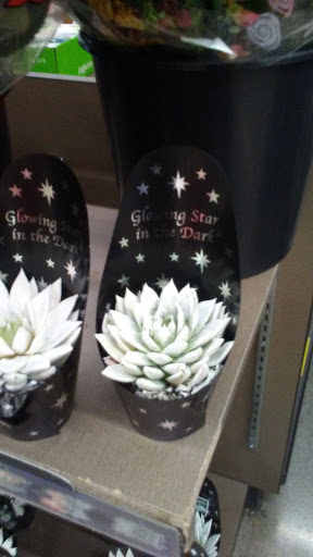 Grocery Store «ALDI», reviews and photos, 1128 S Main St, Englewood, OH 45322, USA