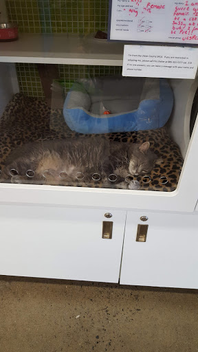 Pet Supply Store «Petco Animal Supplies», reviews and photos, 1175 Ulster Ave, Kingston, NY 12401, USA