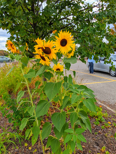 Shopping Mall «Westgate Shopping Center», reviews and photos, W Stadium Blvd, Ann Arbor, MI 48103, USA