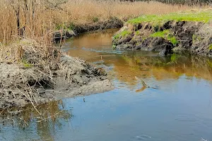 Valley of Kłodnica image