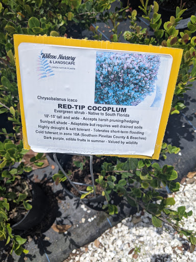 Plant Nursery «Wilcox Nursery», reviews and photos, 12501 Indian Rocks Rd, Largo, FL 33774, USA