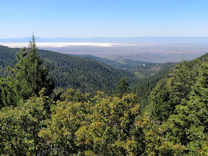 Haynes Canyon Vista Observation Site