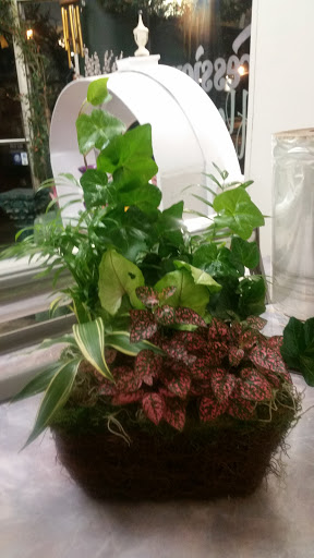 Florist «Expressions Flowers And Gifts», reviews and photos, 420 Merchants Rd, Rochester, NY 14609, USA