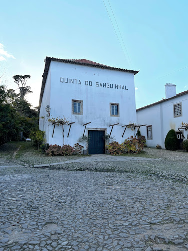 Quinta do Sanguinhal - Bombarral