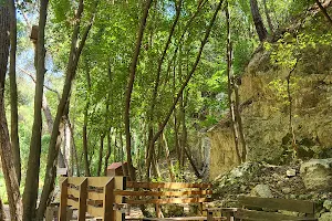 Abu Semaan Valley Nature Reserve image