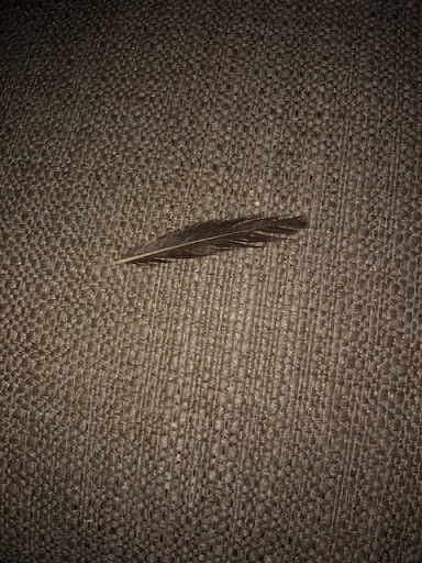 Furniture Store «Raymour & Flanigan Furniture and Mattress Store», reviews and photos, 2795 Richmond Ave, Staten Island, NY 10314, USA