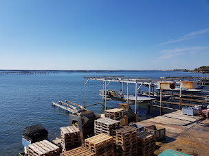 Photo n°24 de L'oasis Du Pêcheur à Bouzigues ()