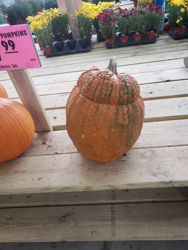 Home Improvement Store «Menards», reviews and photos, 2200 Westridge Rd, New Ulm, MN 56073, USA