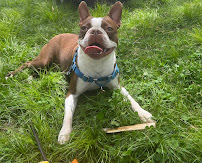 Crate Escape - Photo 9 - Car repair in Cambridge, MA, Cambridge