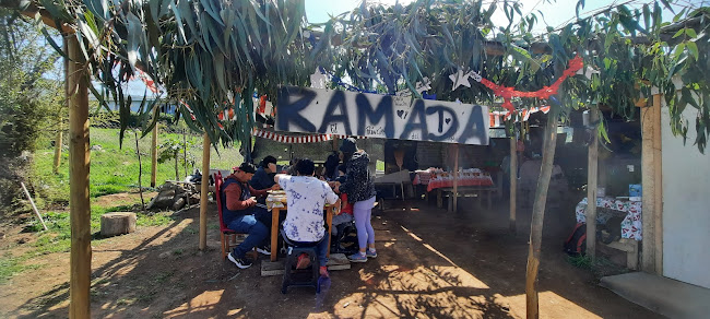 Opiniones de El Rey de la Quebrada del Pobre. en La Ligua - Camping