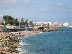 Platja de les Salines'in fotoğrafı vahşi alan