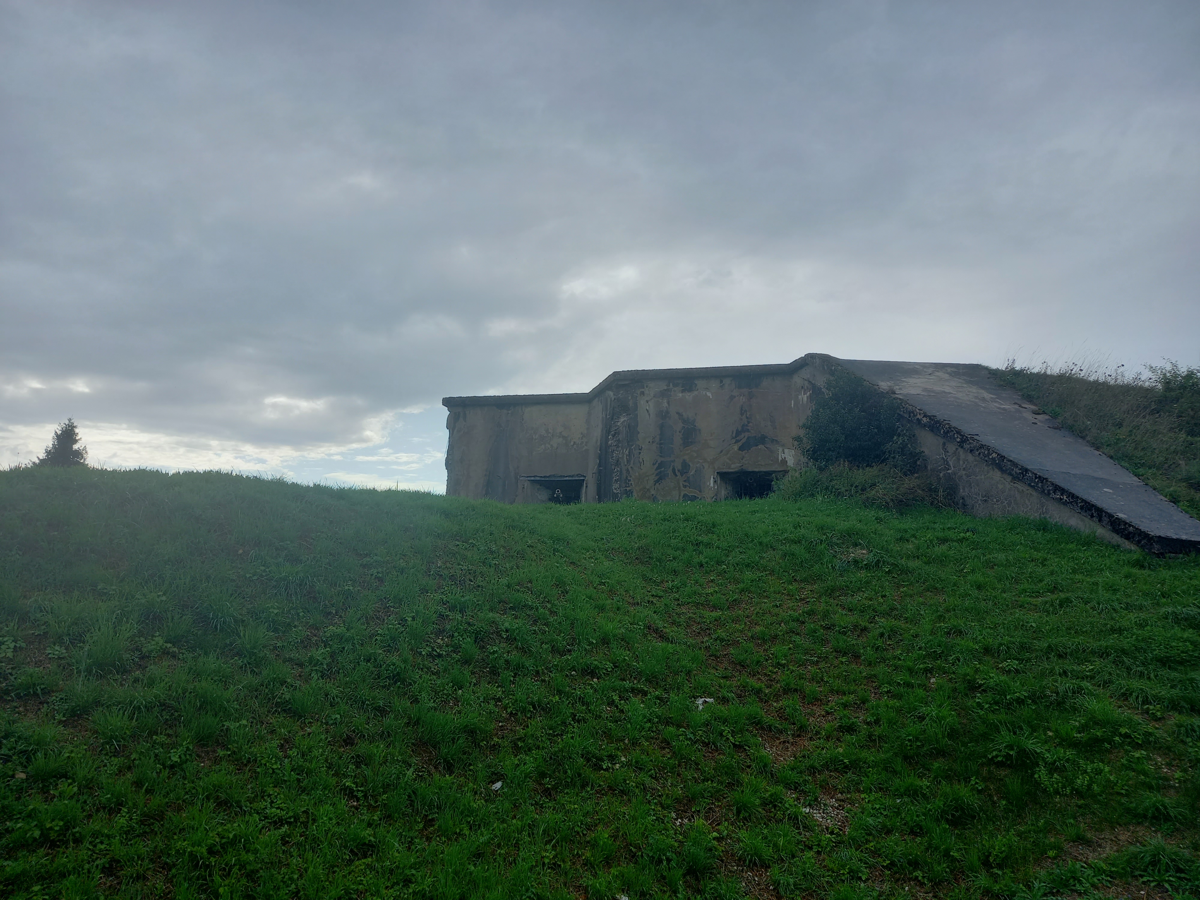 Photo n° 2 de l'avis de alsac.e fait le 20/08/2023 à 21:45