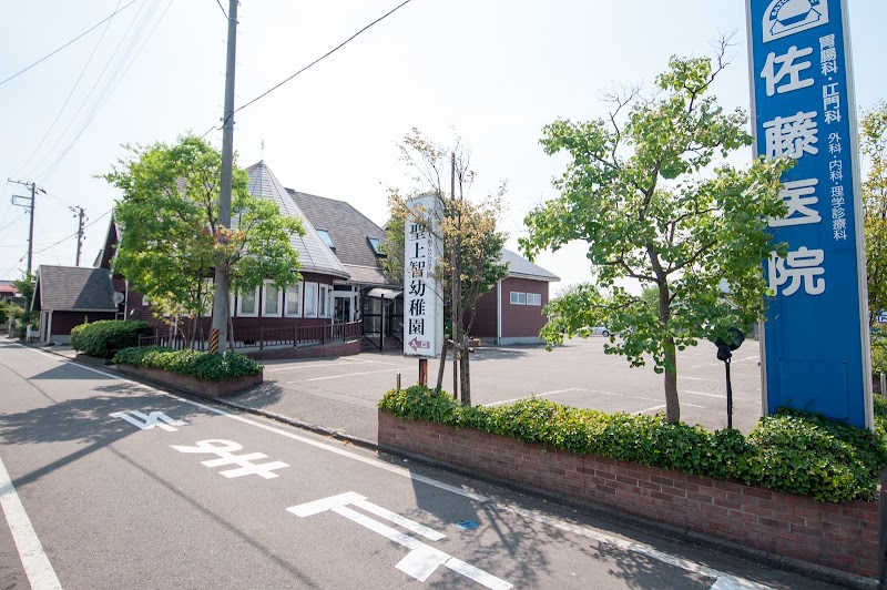 佐藤医院 新潟県上越市春日新田 クリニック 医院 診療所 医療機関 グルコミ