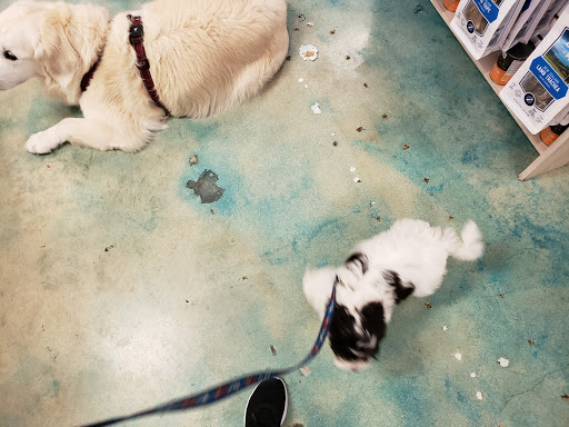 Pet Store «Wholesome Hound», reviews and photos, 198 Tamiami Trail N, Naples, FL 34102, USA