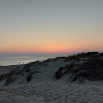 Photo n°1 de l'avis de Clara.o fait le 10/09/2023 à 14:54 sur le  Spiaggia Libera Castel Porziano - Cancello 2 à Rome