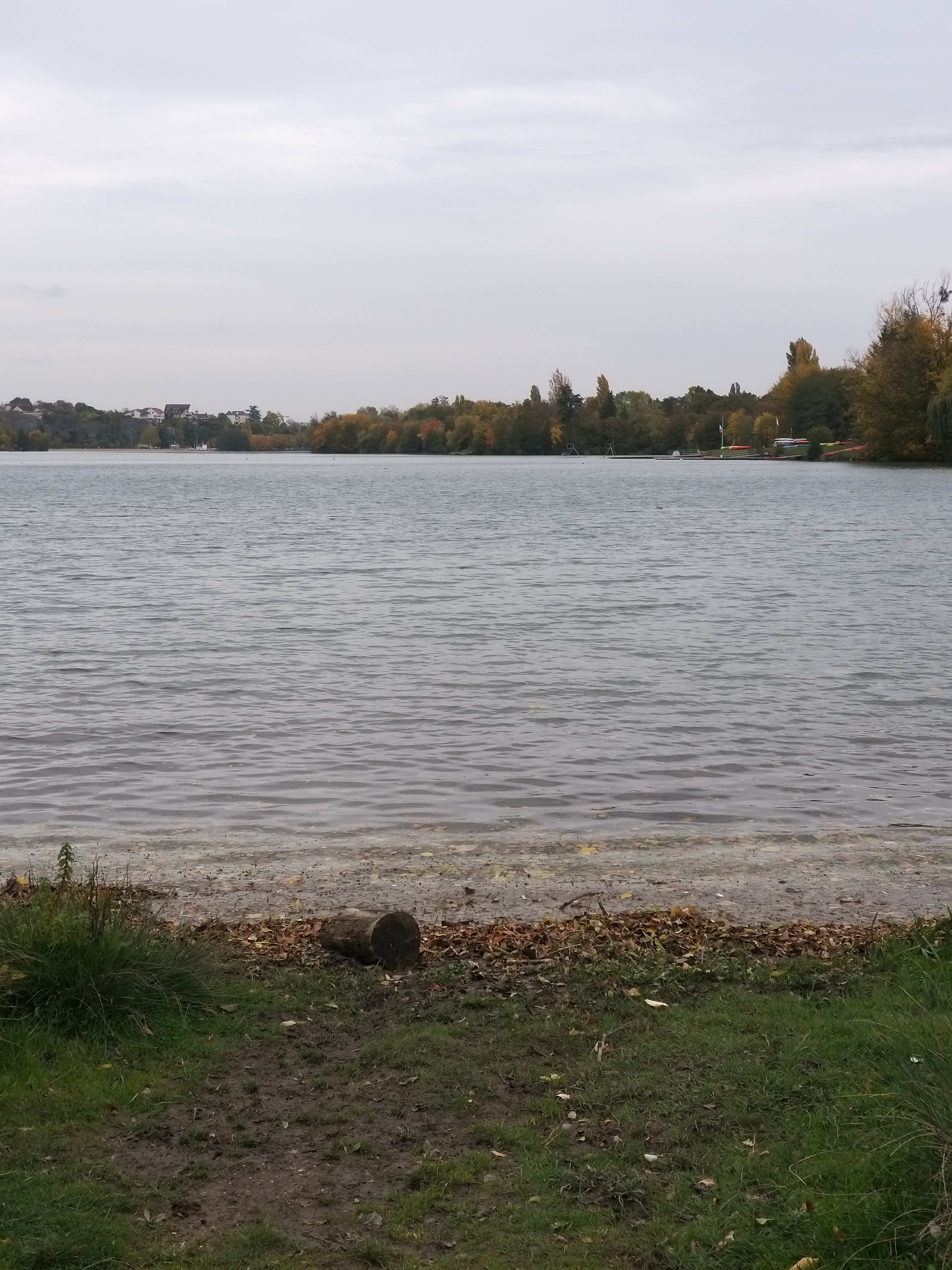 Photo n° 2 de l'avis de Alain.i fait le 03/11/2020 à 11:53