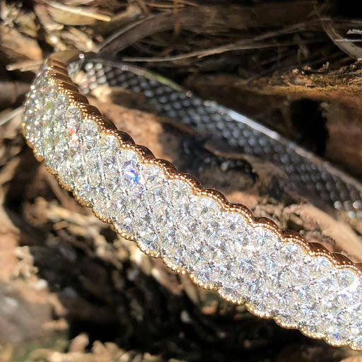 Jeweler «Ackerman Jewelers», reviews and photos, 5335 Ehrlich Rd, Tampa, FL 33625, USA